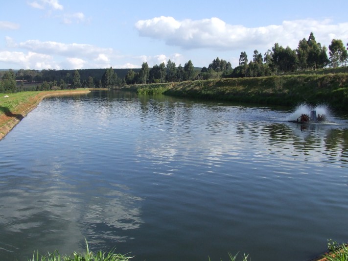 Lagoa Facultativa